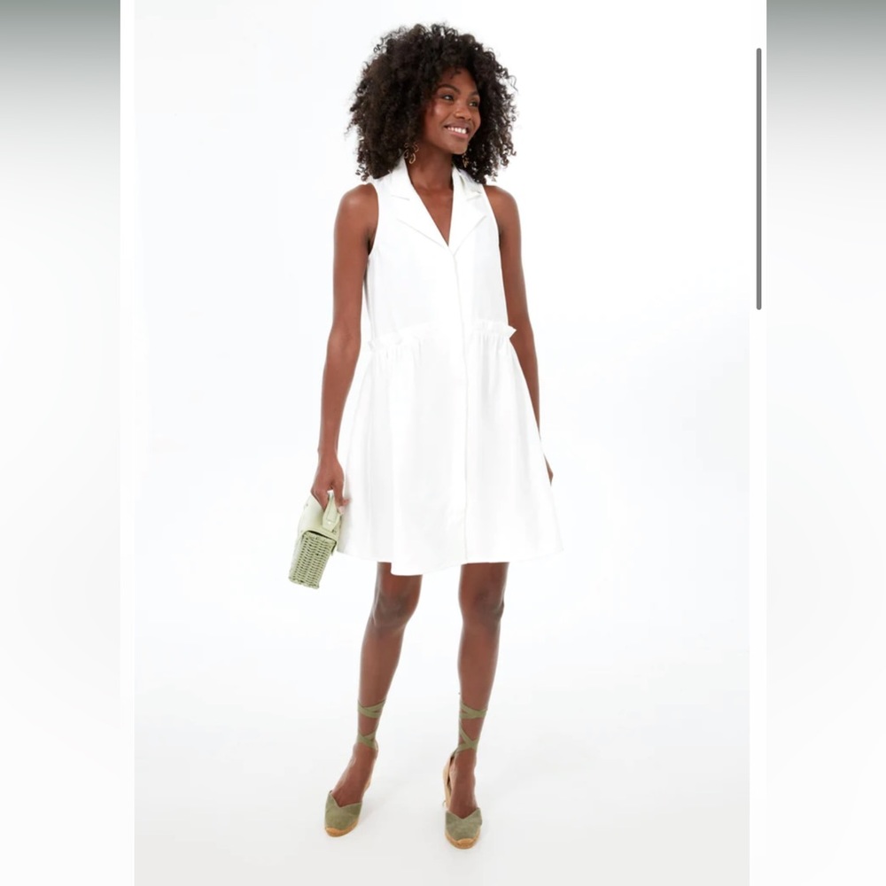 Tuckernuck Oxford White Sleeveless Royal Shirt Dress